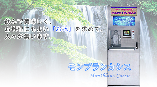 美人水（アルカリイオン水、酸性イオン水、衛生水、洗浄水）の生成器