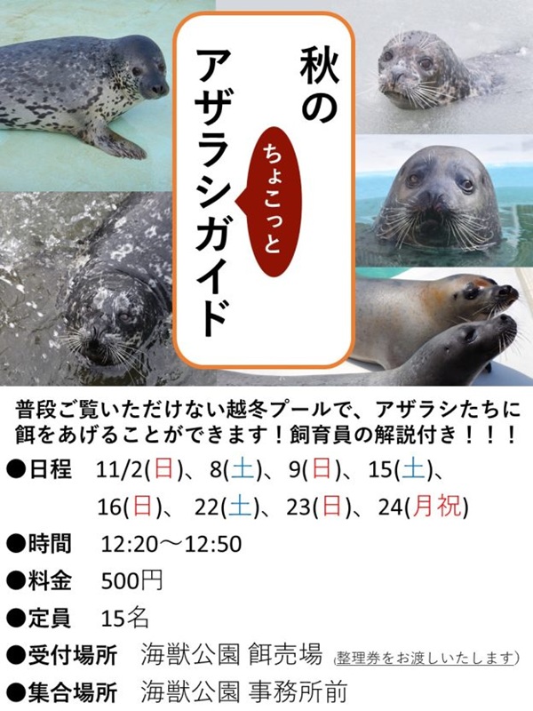 おたる水族館…秋のイベント「海獣公園アザラシちょこっとガイド」に