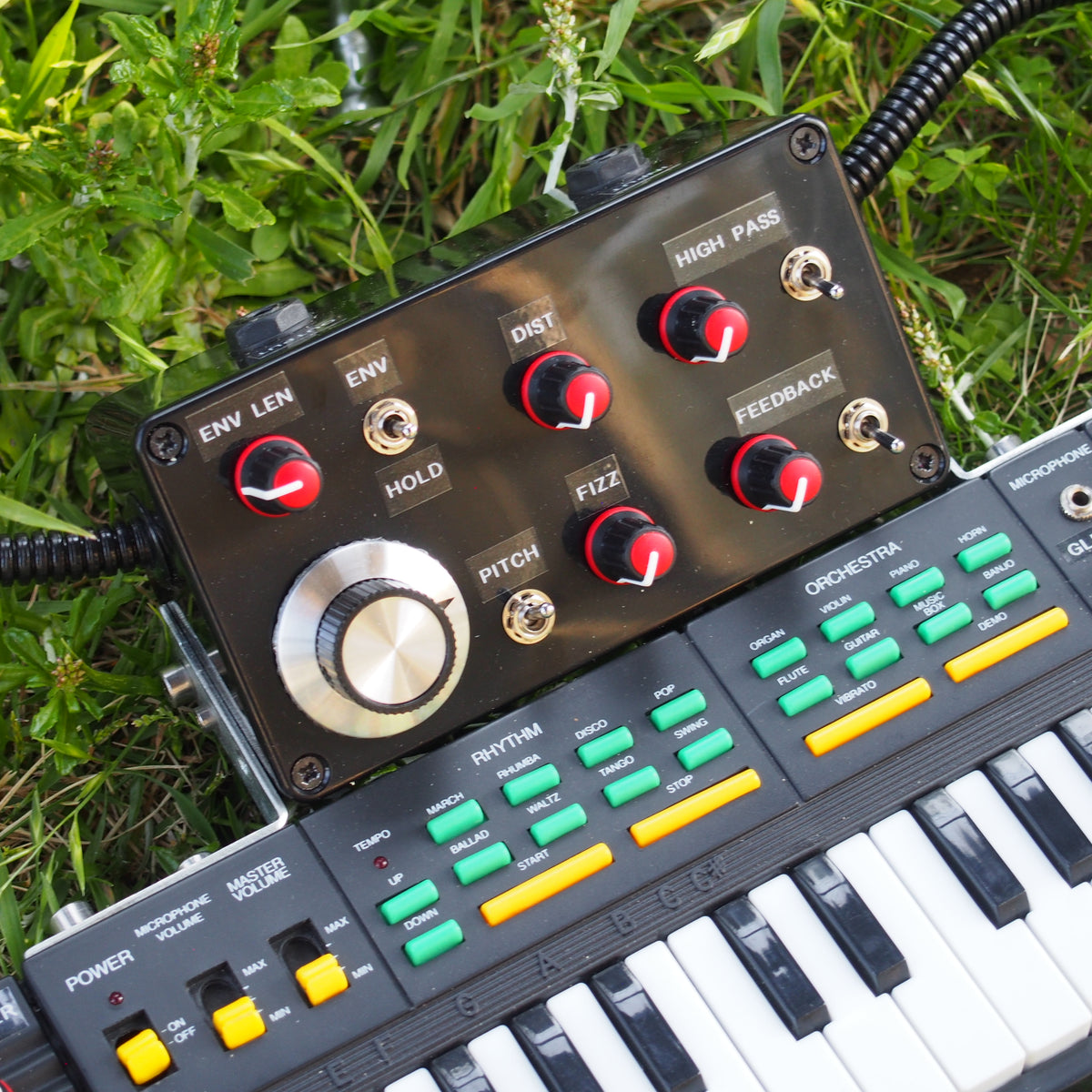 P5020505_1200x1200.jpg?v=