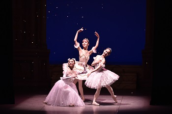 美の極み、夢の世界！「白雪姫」「シンデレラ」「眠れる森の美女」が