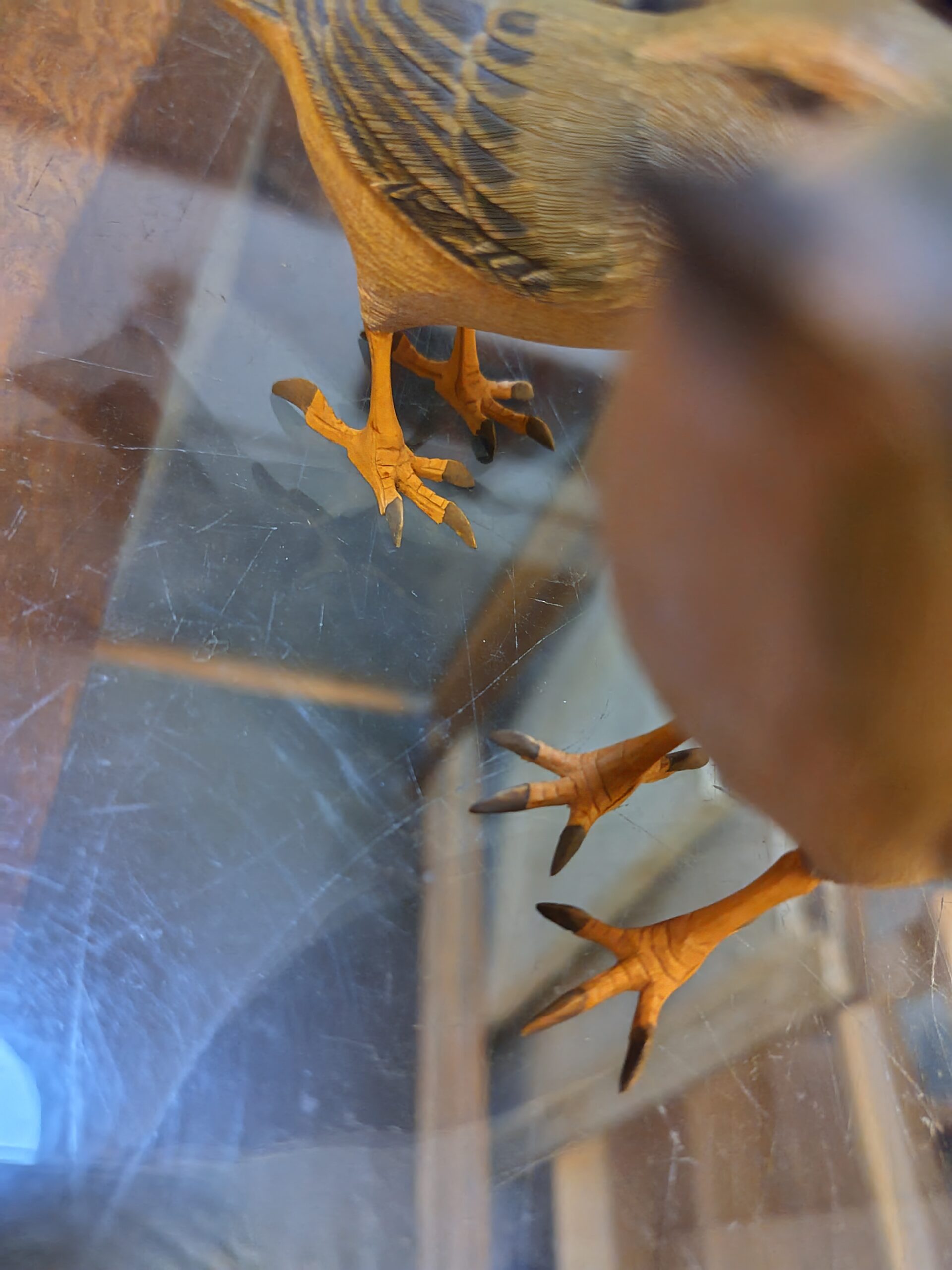 初代ッ上野玉水さんッ！！ 鶯の御夫婦ッ！！！ ｜ 海老屋美術店