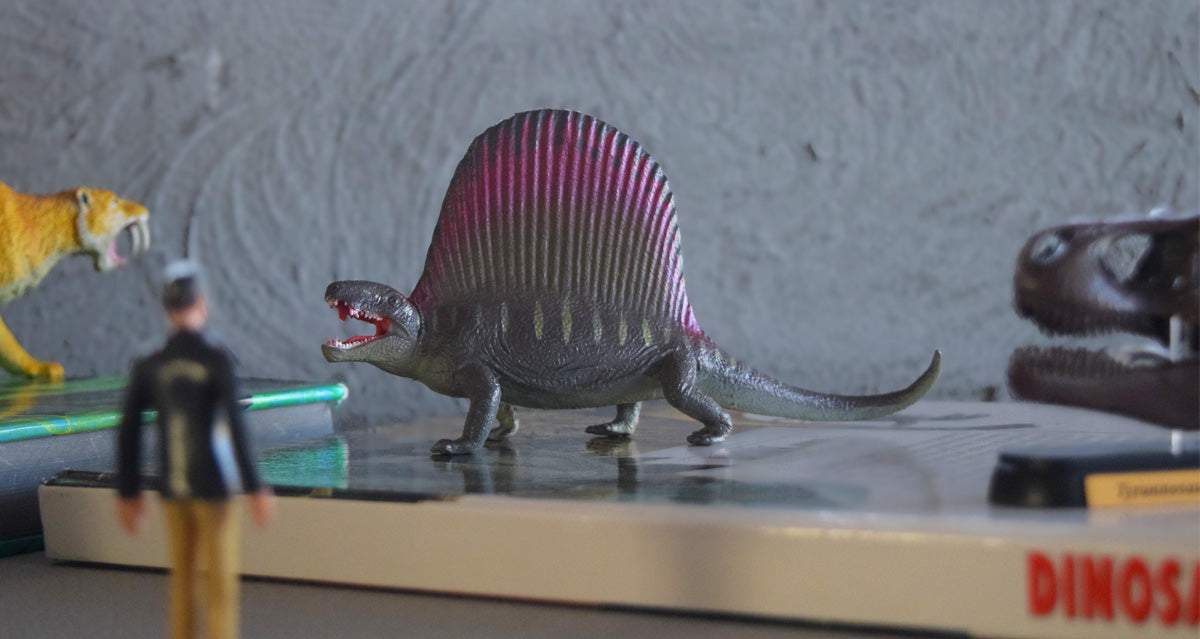 背中に帆を持つペルム紀の大型肉食動物 — ディメトロドン — – Favorite