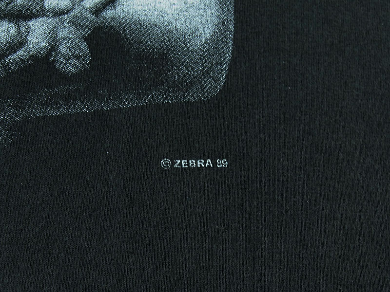 Red Hot Chili Peppers 'MOTHER EARTH TOUR 1989'Tシャツ ANVIL