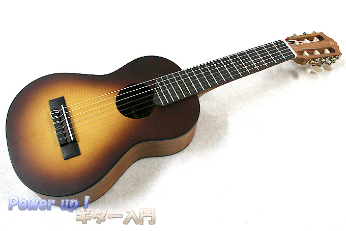 ギタレレ（Guitalele GL1）を買ったので音や使用感など | パワーアップ