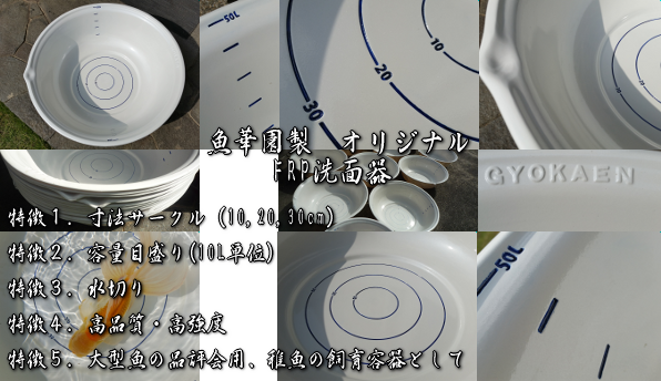 金魚、らんちゅう販売の魚華園 ｜ 大阪府岸和田市