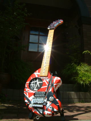 FERNANDES ZO-3 EVH B&W&R