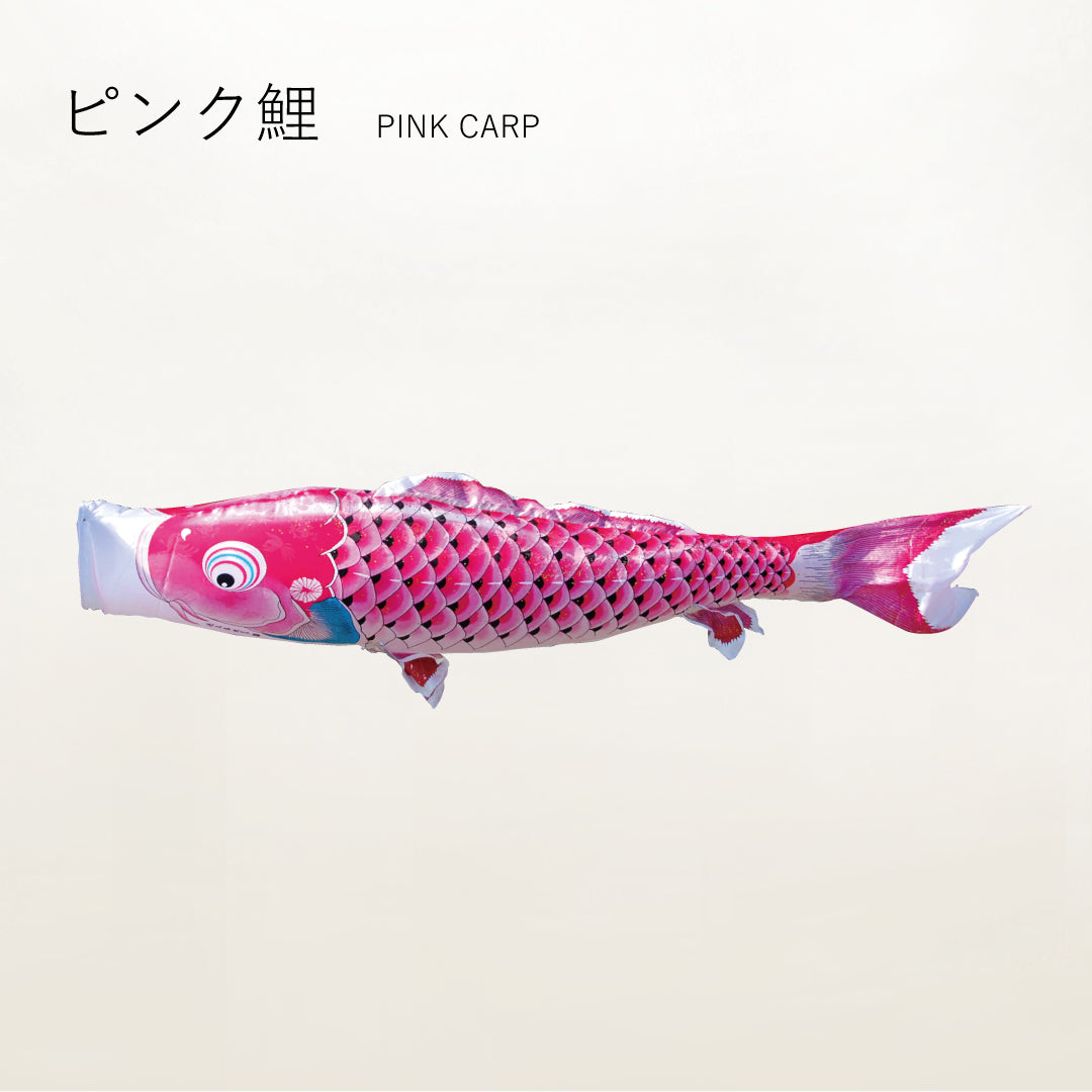 ピンク鯉 慶祝の鯉【吉兆】単品鯉のぼり – 晴れと暮らす