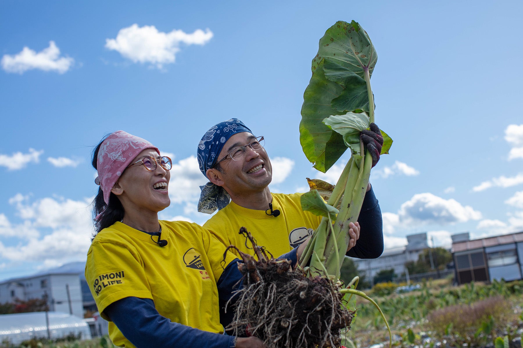 世界に羽ばたく、山形名物の芋煮。
