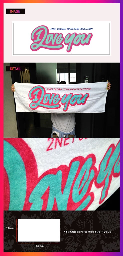 韓国スターグッズ 2NE1（トゥ・エニィワン）NEW EVOLUTION - 応援