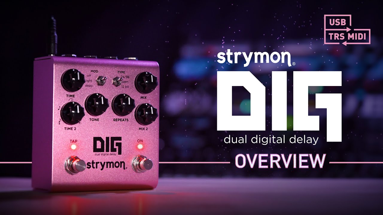 DIG V2 Dual Digital Delay - Strymon