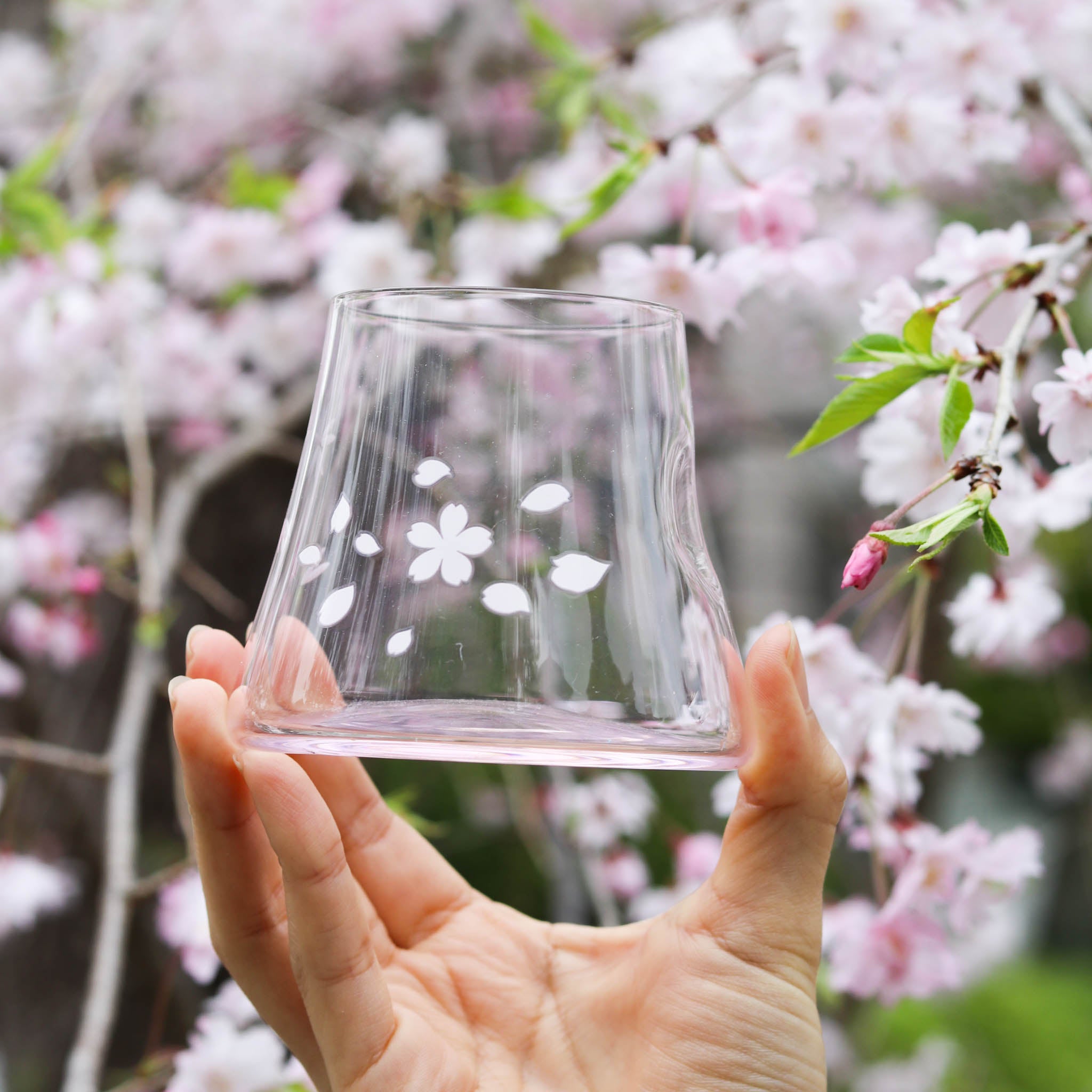 江戸硝子 宝永グラス | 冷感桜舞富士山 | ピンク | 丸モ高木