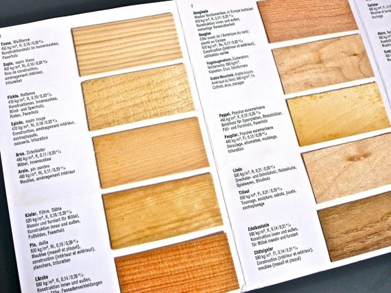 木とジョイントの専門家・阿部藏之 » Swiss版木材標本ロングセラーと