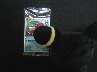 ポケカ、伝説ポケモンプレゼントキャンペーン Aコース当選!!!!! : 有栖