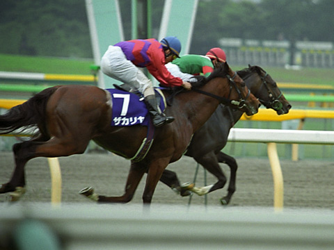 第4回 NHKマイルC