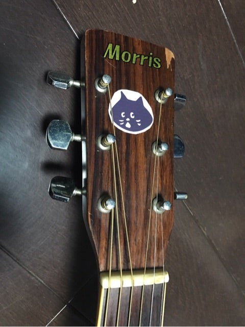 MorrisのMD506 | 好きに勝手にいろんな楽器