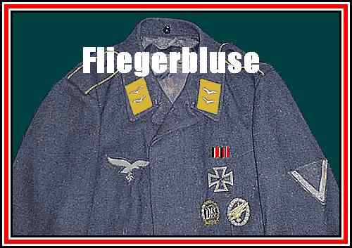 フリーガーブルーゼ01