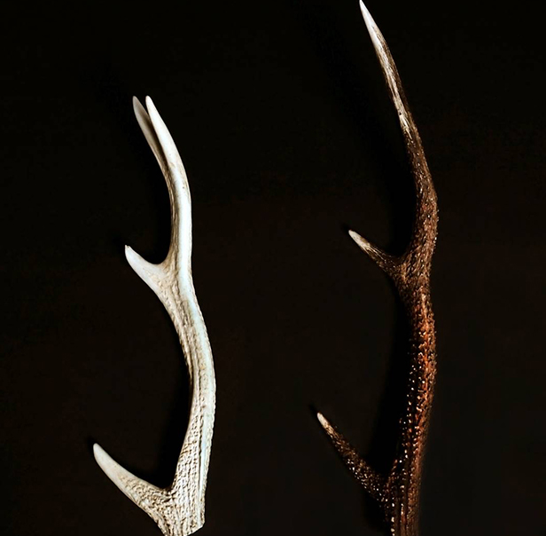 しろのつかい | 奈良の鹿角職人が丹精を込めて作り上げた神鹿ブランド