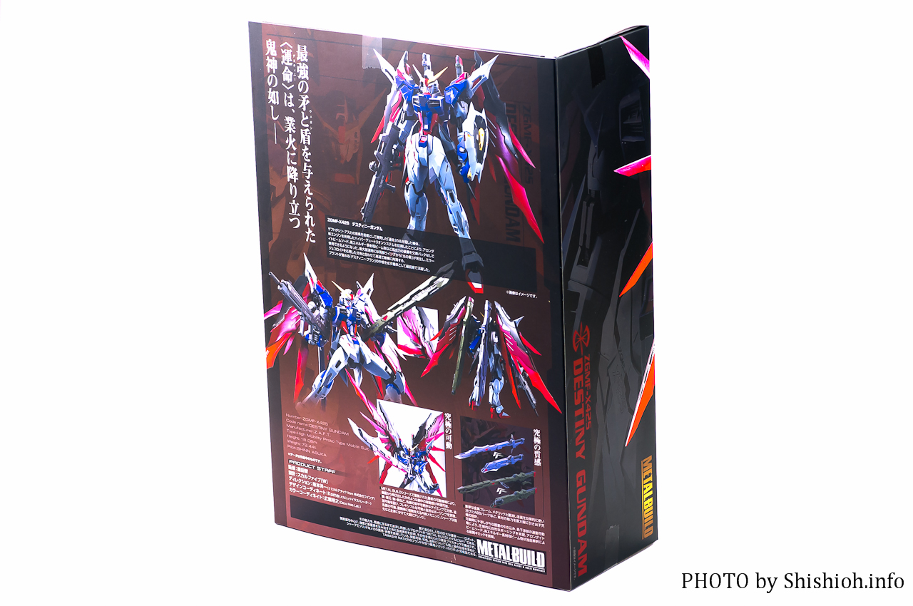 レビュー】 バンダイ METAL BUILD ZGMF-X42S デスティニーガンダム