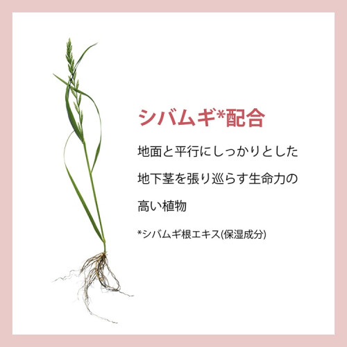 V コントア セラム|クラランス|美容液|小田急百貨店オンライン