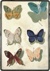 生誕100年記念 三岸好太郎展