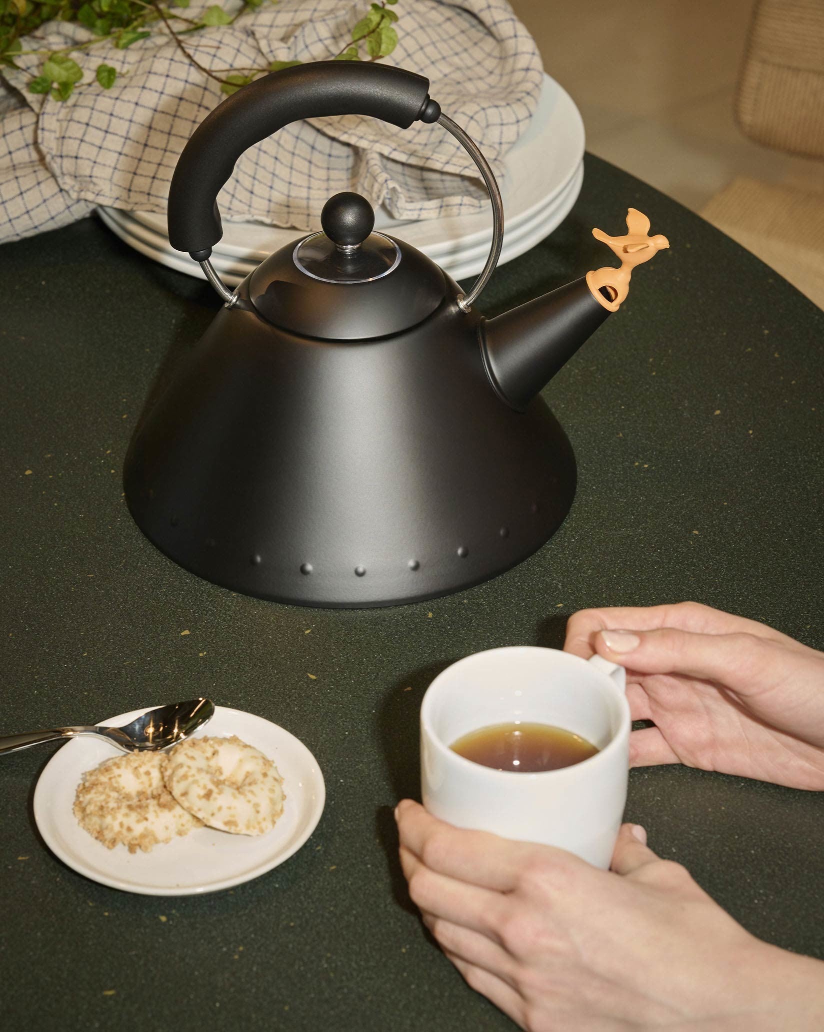 9093 BB: Induction Kettle By Michael Graves | Alessi