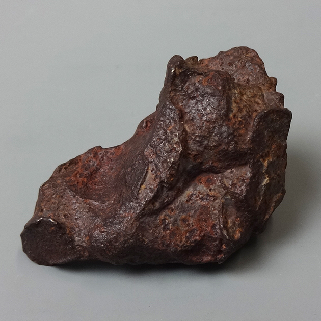 ゲベルカミル隕石｜化石販売・鉱物販売の東京サイエンス