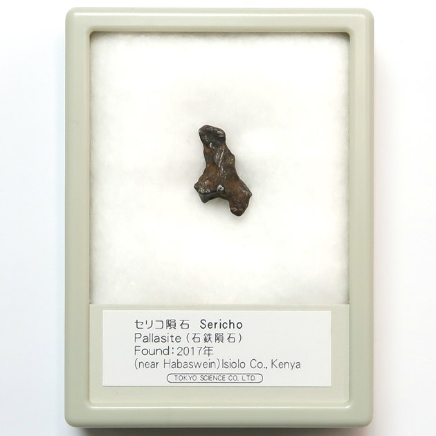 石鉄隕石｜化石販売・鉱物販売の東京サイエンス