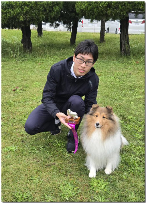 UENOYAMA Shelties シェルティ専門犬舎 上野山
