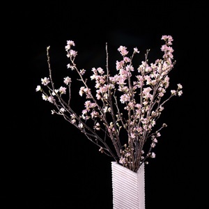 みちのく初桜（啓翁桜）80cm×5本 | 全農食品オンラインショップ