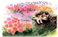 A. P. J .アートプリントジャパン 渡辺 あきおプロフィール