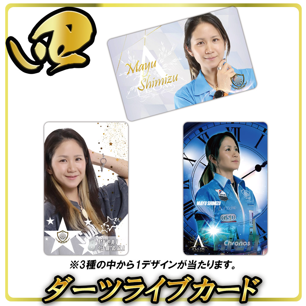 福袋2026【WHITE】｜DYNASTY(ダイナスティ)