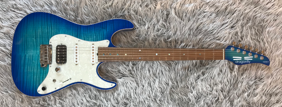 HARRY'S ENGINEERING / dragonfly custom guitars