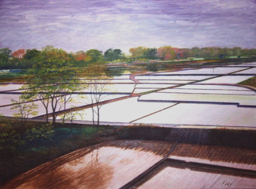 A水の 油絵（四万十川 風景画 ぶな）のページ