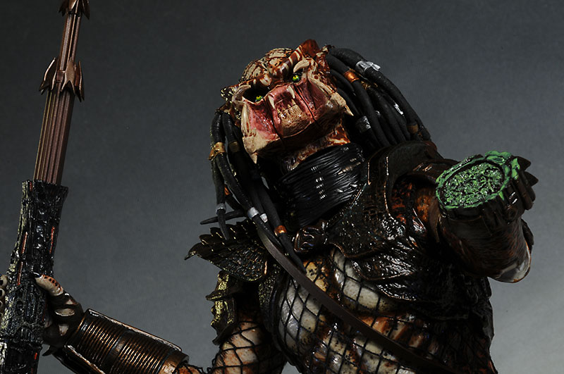 Review and photos of City Hunter Predator sixth scale action