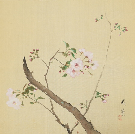 武田鼓葉「桜花図」：B-2493[掛け軸]古美術谷口
