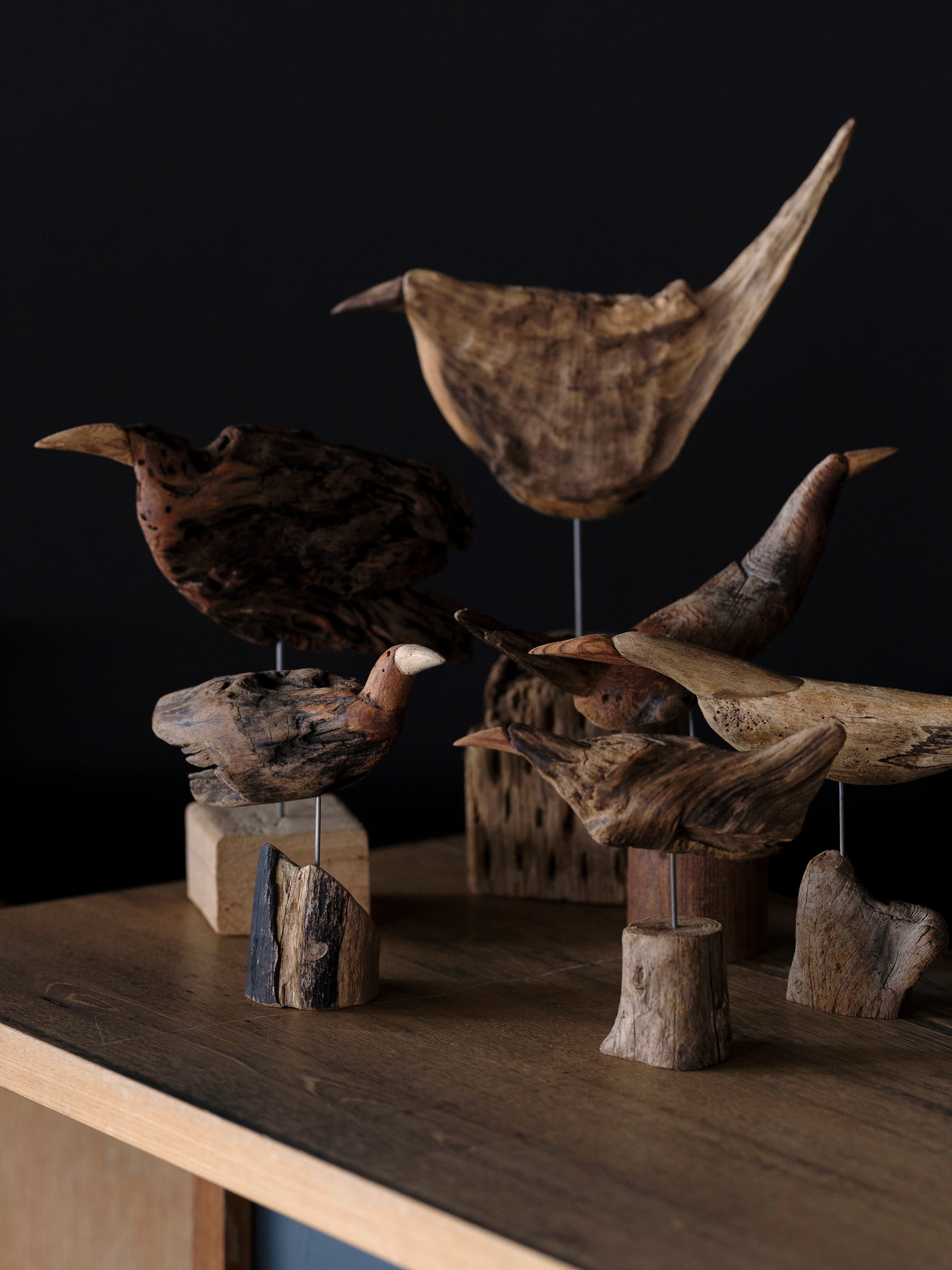 流木の鳥｜針原修