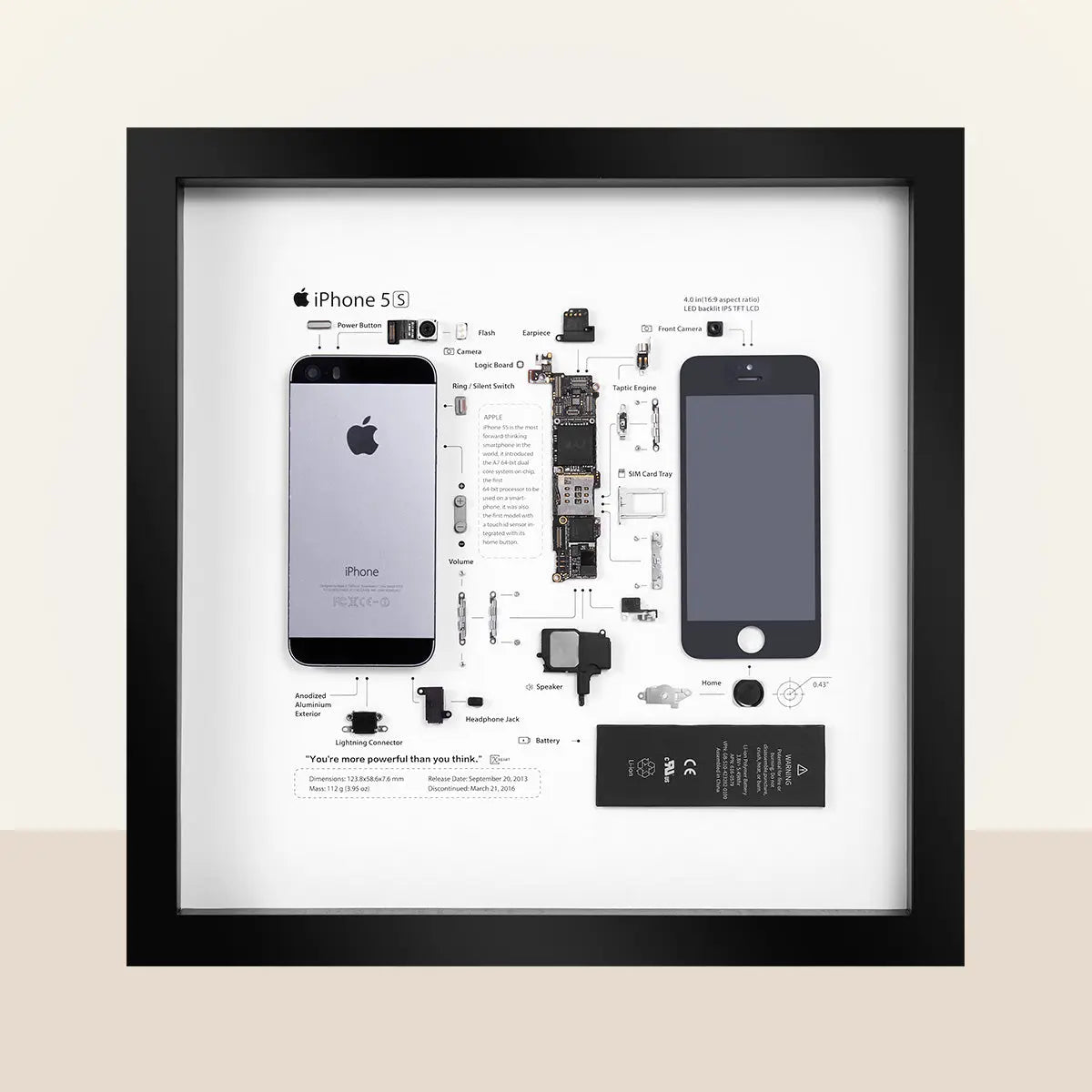 Xreart iPhone 5S Teardown Framed Artwork, Best Geek Gift Idea