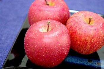 糖度15度以上！江刺りんご 岩手県サンふじ御歳暮に JA江刺富士林檎販売