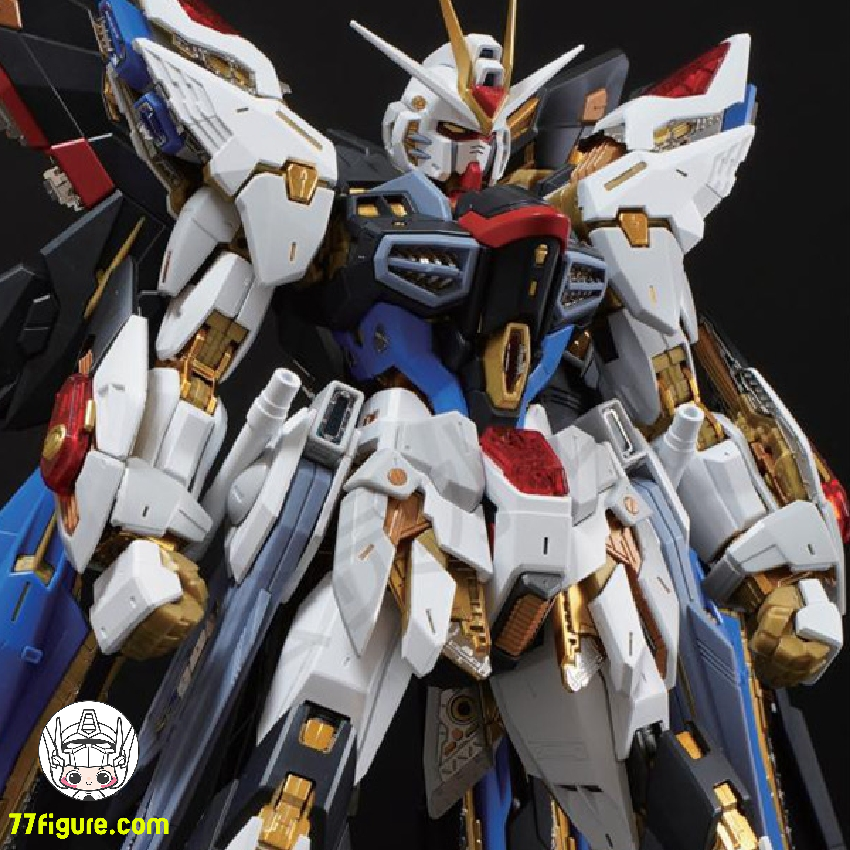 SH Studio 1/100 MG MGEX ストライク フリーダム ガンダム用