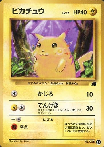 Pokémon CardGame Old Ver./Intro Pack]ピカチュウ LV.12【フシギダネ