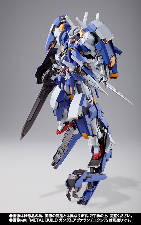 METAL BUILD ガンダムアヴァランチエクシア オプションパーツセット