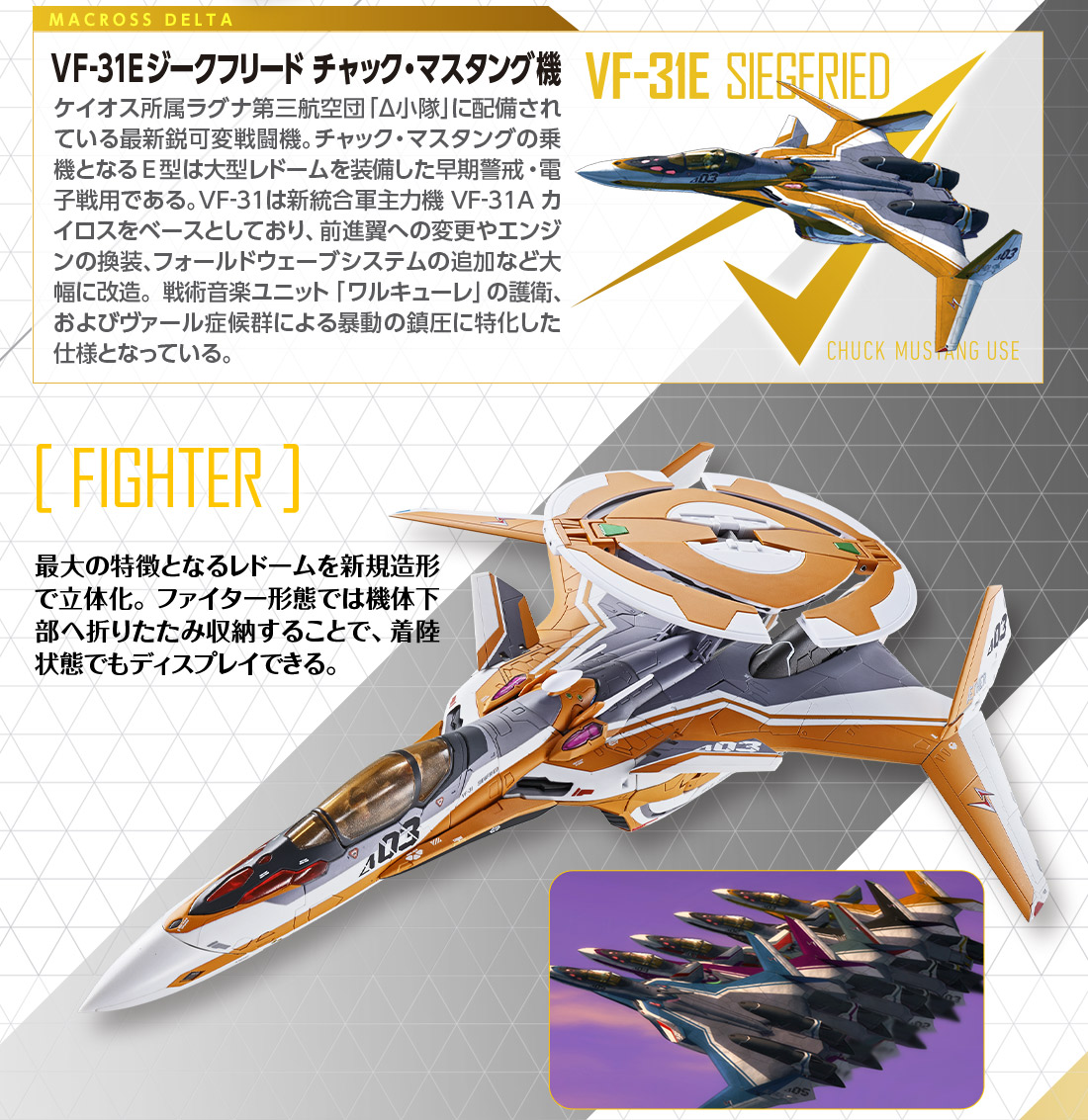 DX超合金 VF-31E ジークフリード（チャック・マスタング機