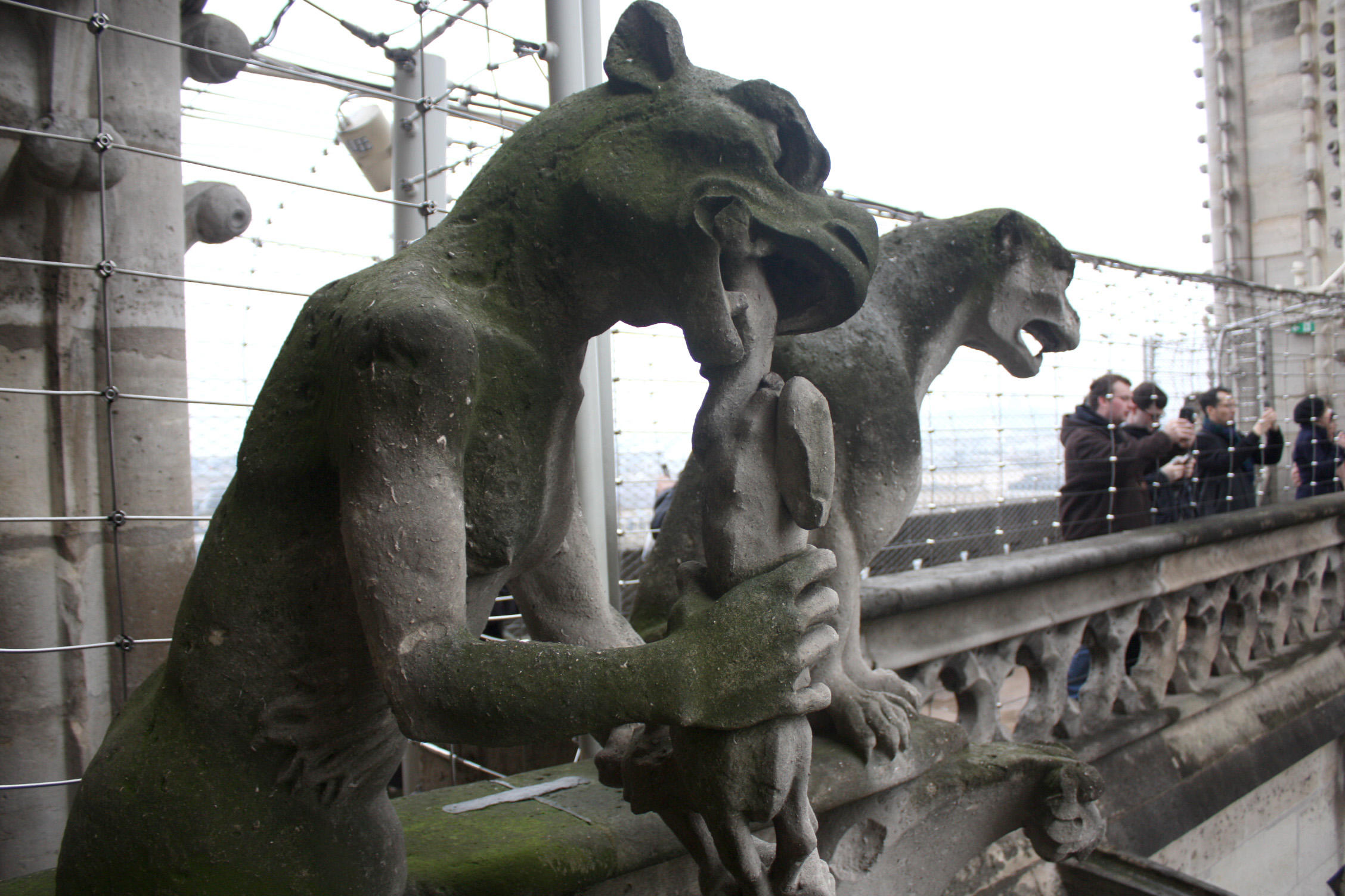 モンスター達と一緒にパリを一望！ノートルダム大聖堂の屋上へ | たび