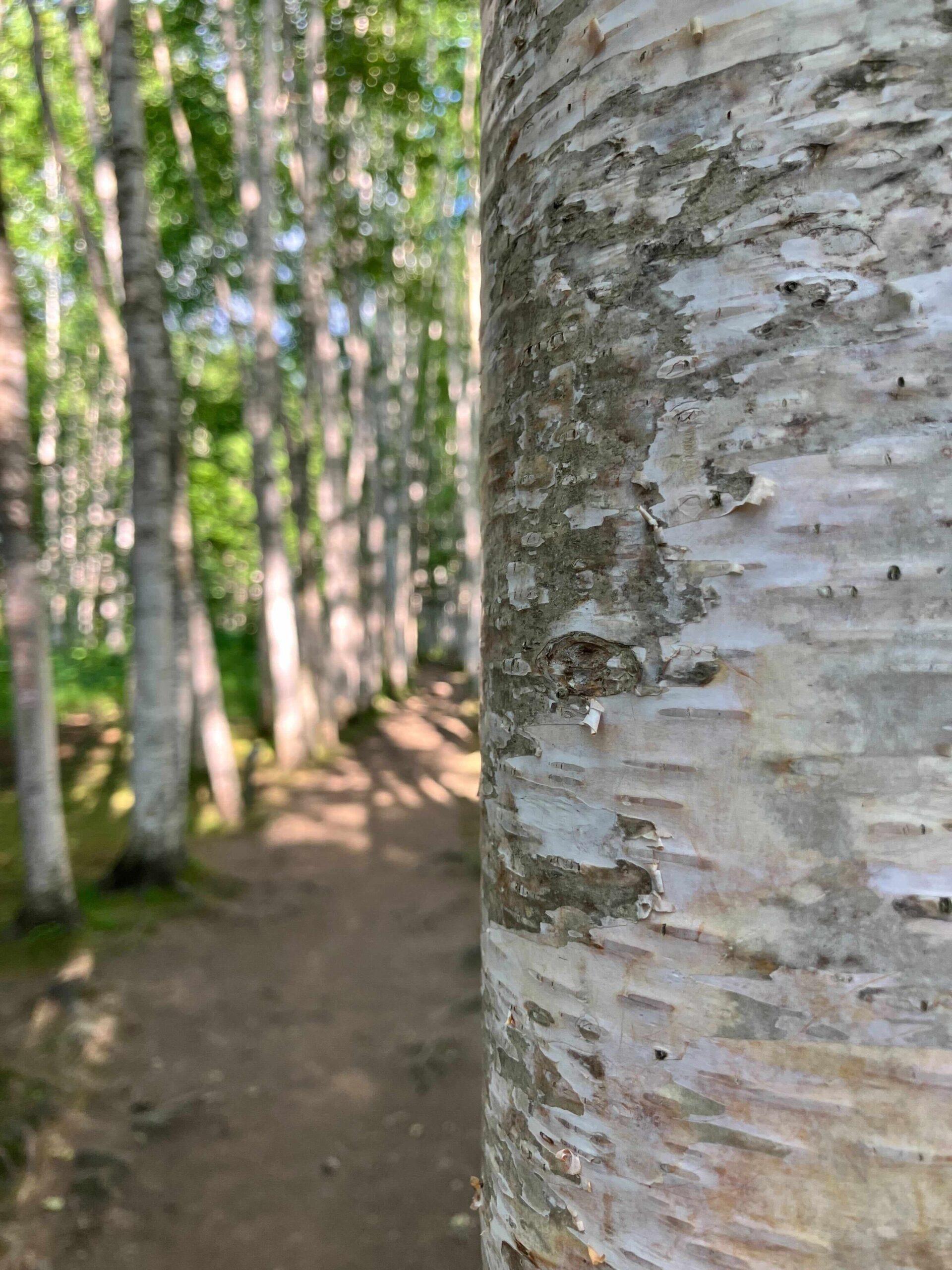 拓真館 - 【公式】北海道まんなか観光ナビ
