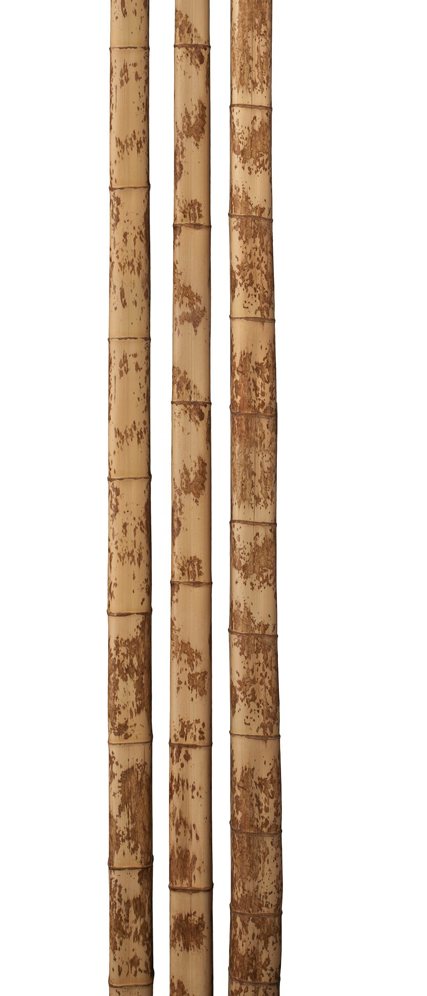 図面角竹 | 竹建材・竹インテリア・犬矢来なら竹定商店｜伝統技術で竹