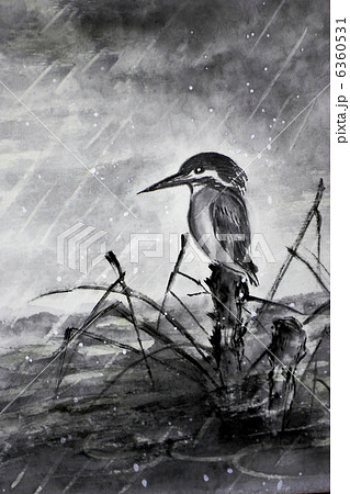 カワセミ水墨画 風雪の中のイラスト素材 [6360531] - PIXTA