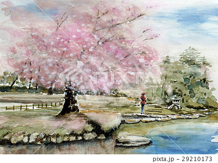桜 公園の桜 兼六園のイラスト素材 [29210173] - PIXTA