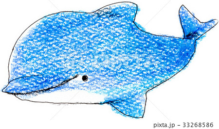 イルカのイラスト素材 [33268586] - PIXTA