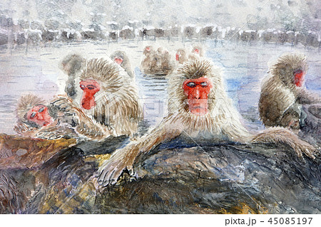 野猿公苑 温泉猿 地獄谷 温泉に入る猿のイラスト素材 [45085197] - PIXTA