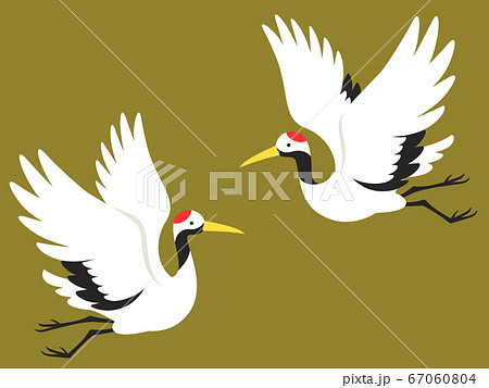 飛んでいる2羽の鶴のイラストのイラスト素材 [67060804] - PIXTA